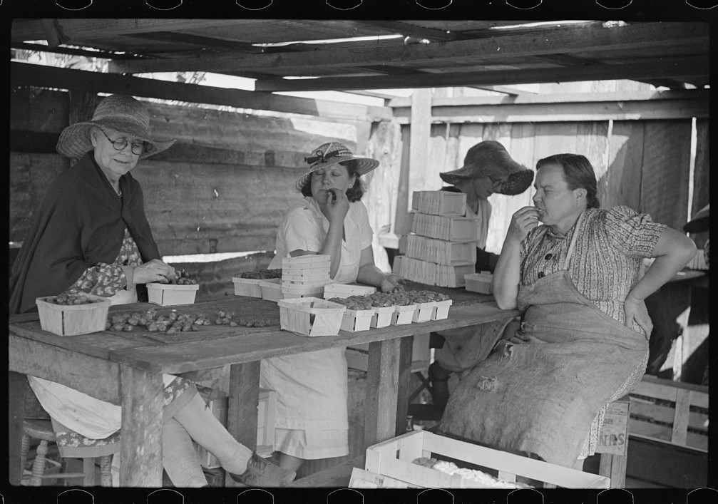 Women selling produce at a roadside stand, Florida, 1939
